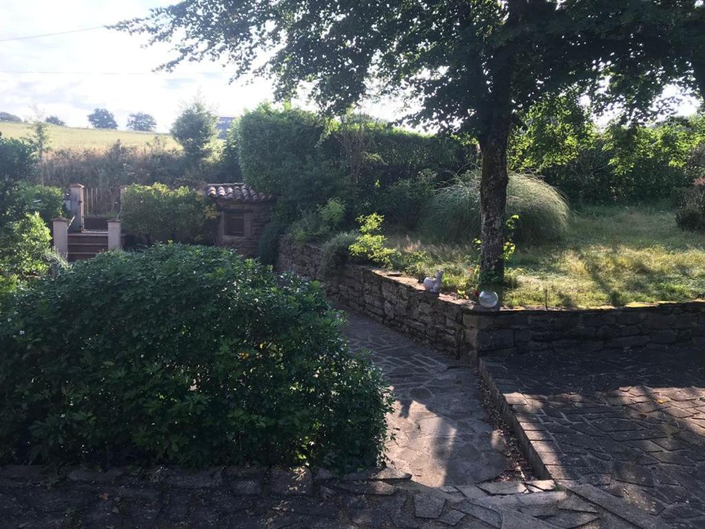 Le Gite De Las Peyros Mirandol-Bourgnounac Bagian luar foto