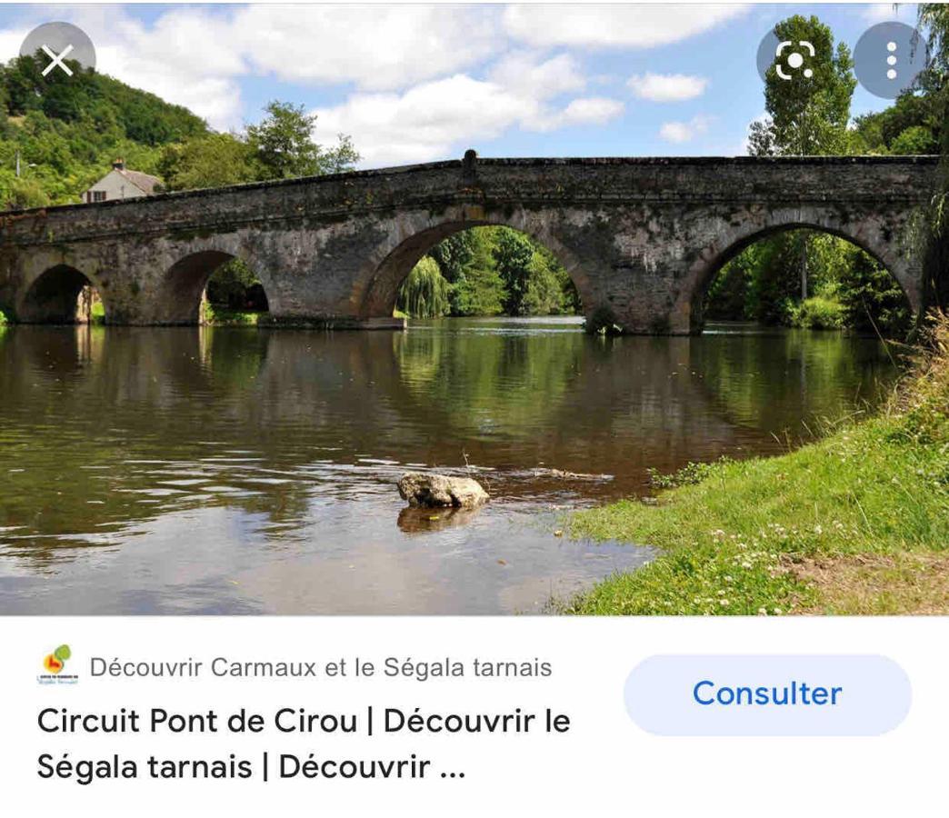 Le Gite De Las Peyros Mirandol-Bourgnounac Bagian luar foto
